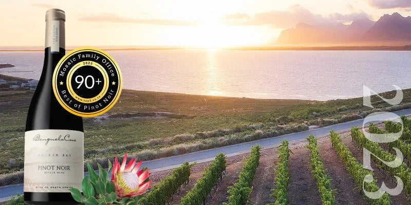 Celebrating Benguela Cove's Pinot Noir Excellence on International Pinot Noir Day