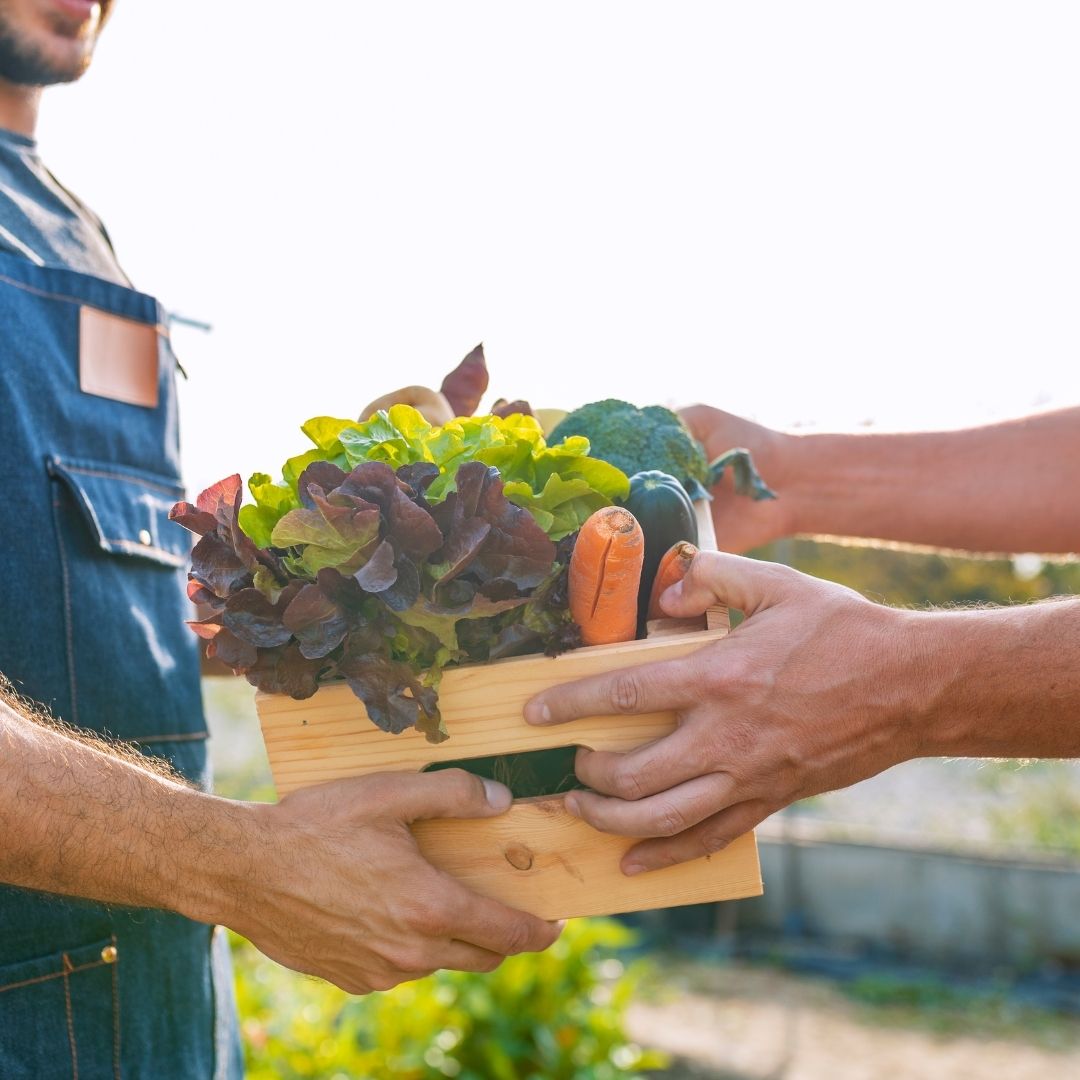 Apply Now to Trade at the Seasonal Market