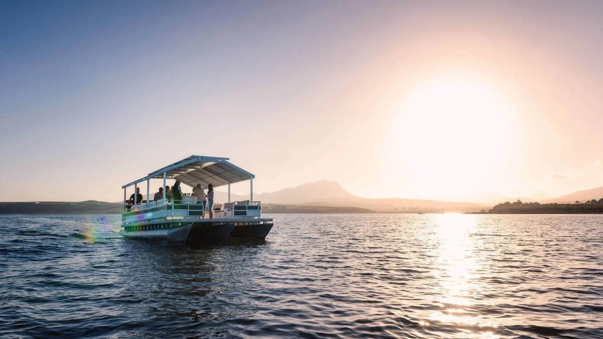 Whale Watching in Hermanus