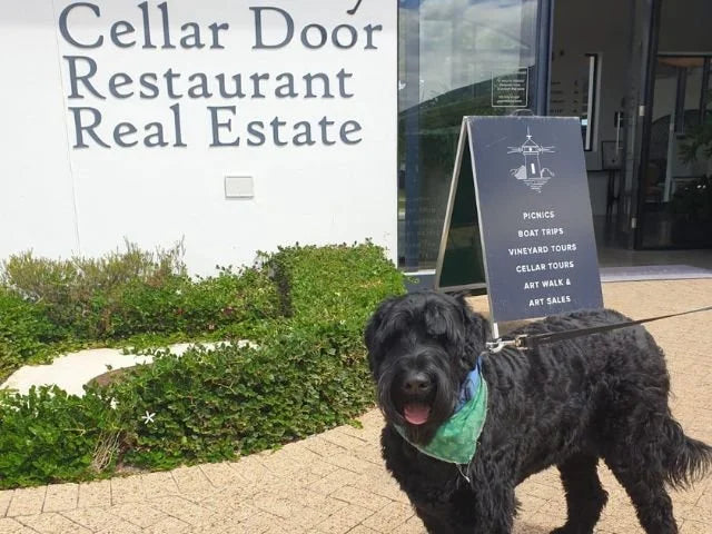The Best Dog Friendly Restaurant in Hermanus