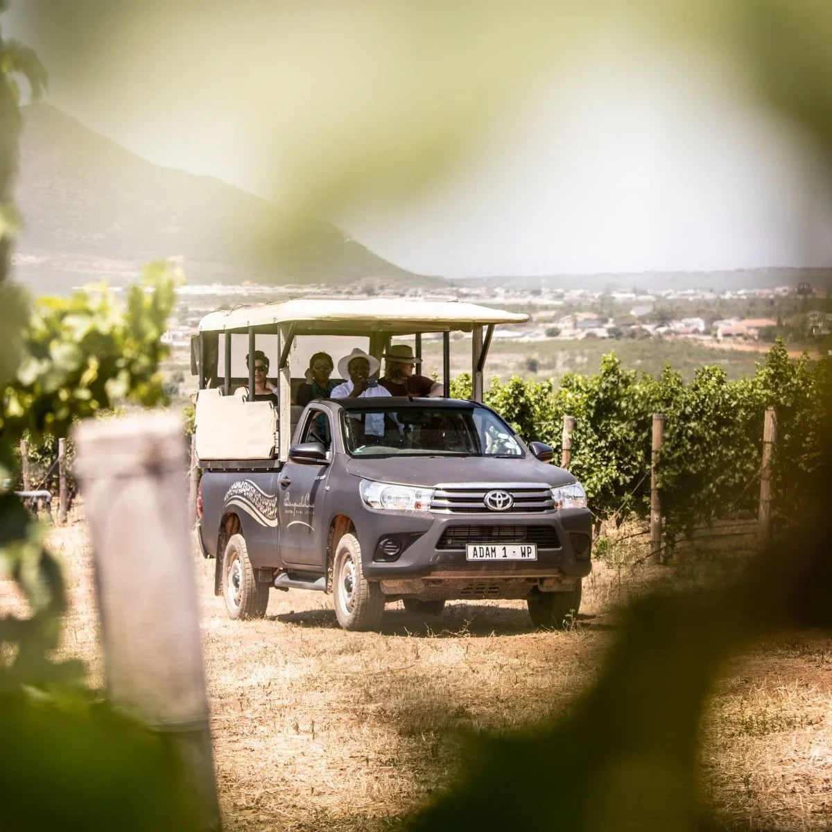 Father’s Day 2024: Attractions and Things to Do