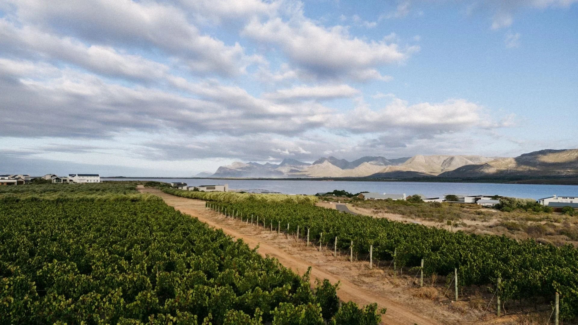 Embrace the Winter Warmth with Benguela Cove