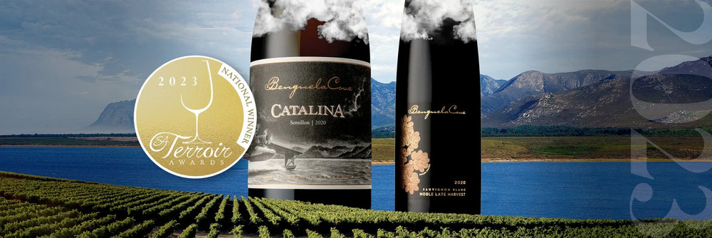 Benguela Cove Triumphs at the 2023 Terroir Wine Awards
