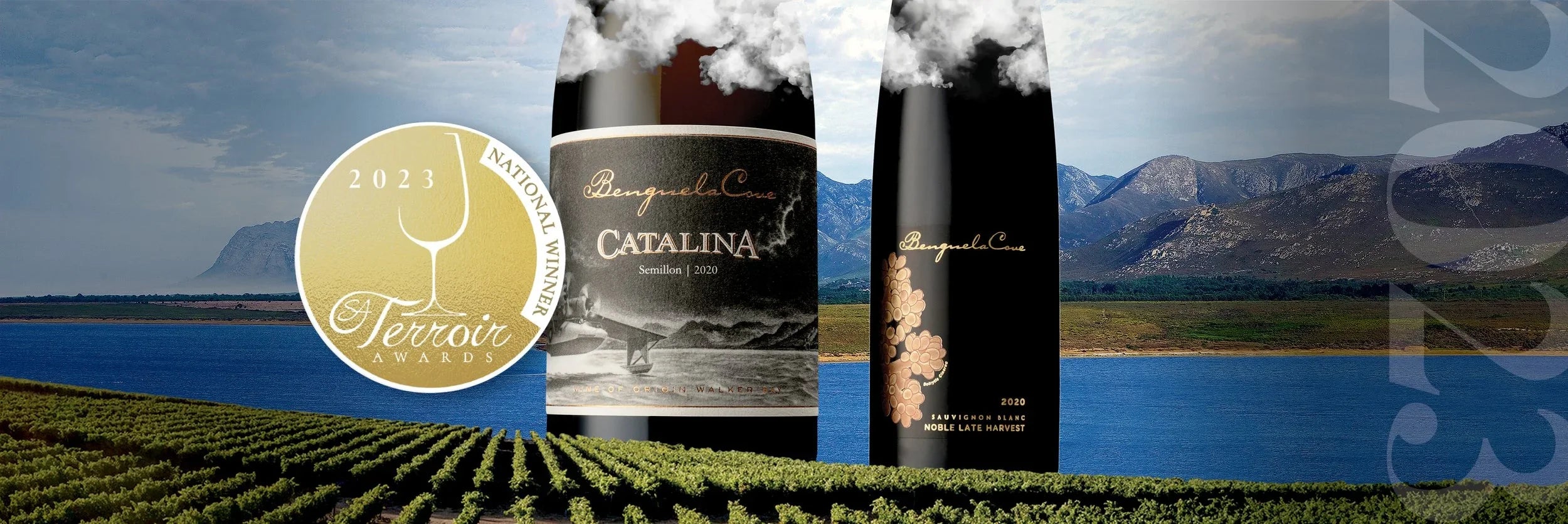 Benguela Cove Triumphs at the 2023 Terroir Wine Awards