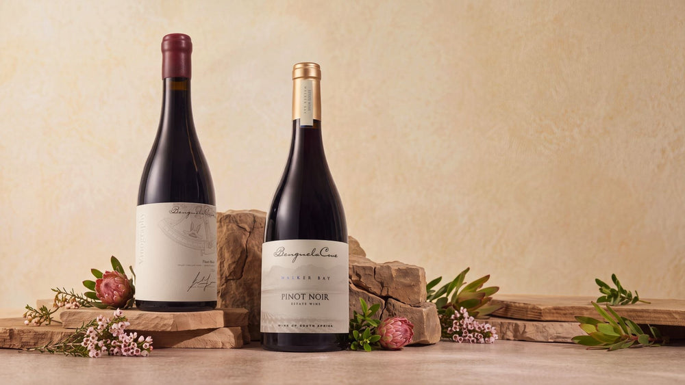 Celebrate International Pinot Noir Day 2026