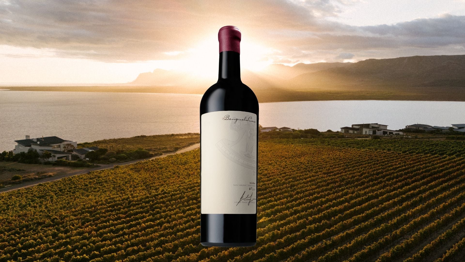 How Malbec Grows in Cool-Climate Walker Bay