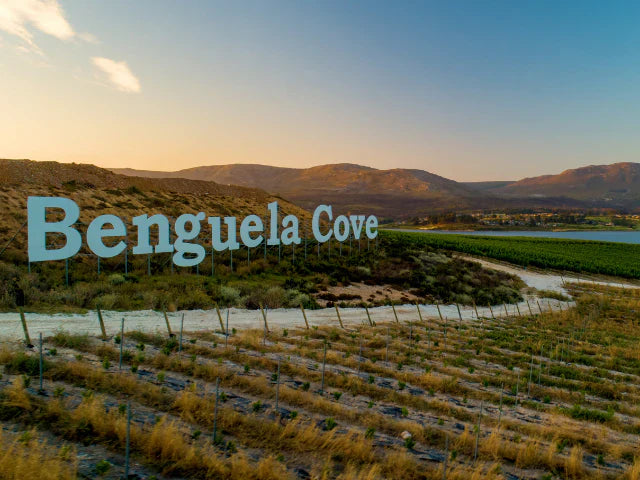 Benguela Cove African Excellence Award 2021