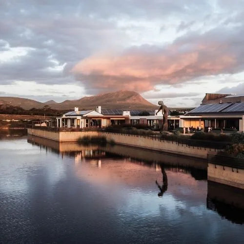 Celebrate Earth Hour with Benguela Cove