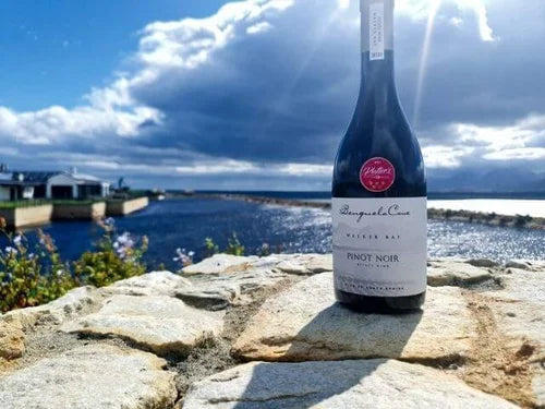 The Best Pinot Noir Red Wines in South Africa in 2021