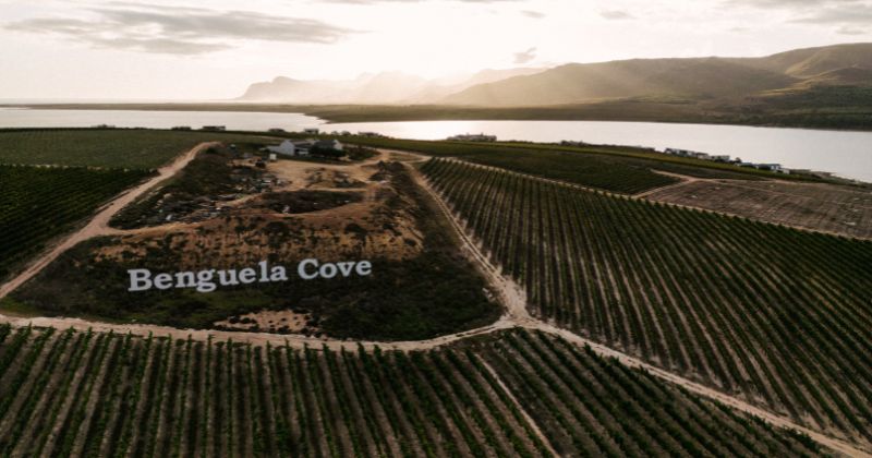 The Light on the Lagoon: A New Look for Lighthouse, and the Olive Oil You Won’t Find in Stores