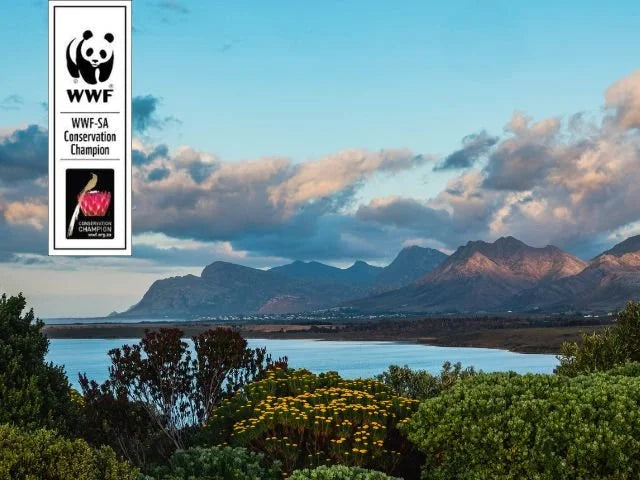 World Ocean Day 2023