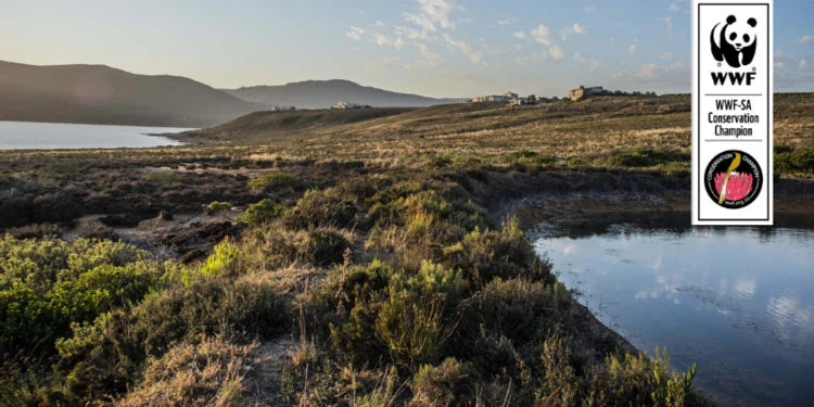 Benguela Cove Wins Excellence Award as WWF Conservation Champion
