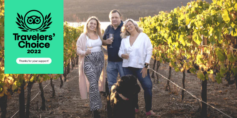 Travellers' Choice Award 2022