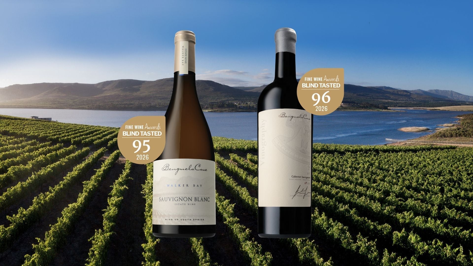 Gold Standard: Benguela Cove Wins Strikes Gold at the 2026 Fine Wine Awards