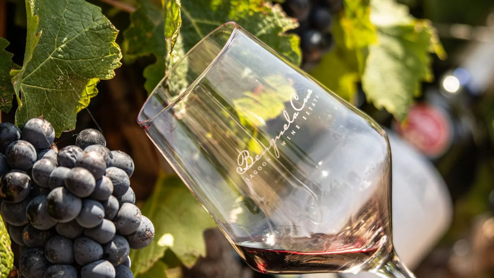 Festive Wine Experiences