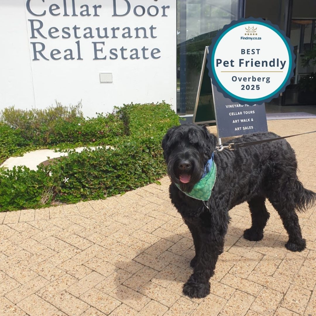 Best Pet-friendly Spot in Overberg 2025