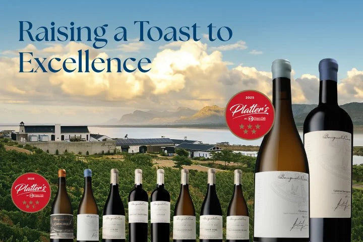 Platter’s 2025 South African Wine Guide