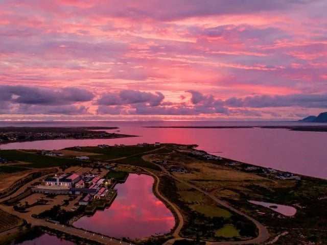 Romance in the Winelands