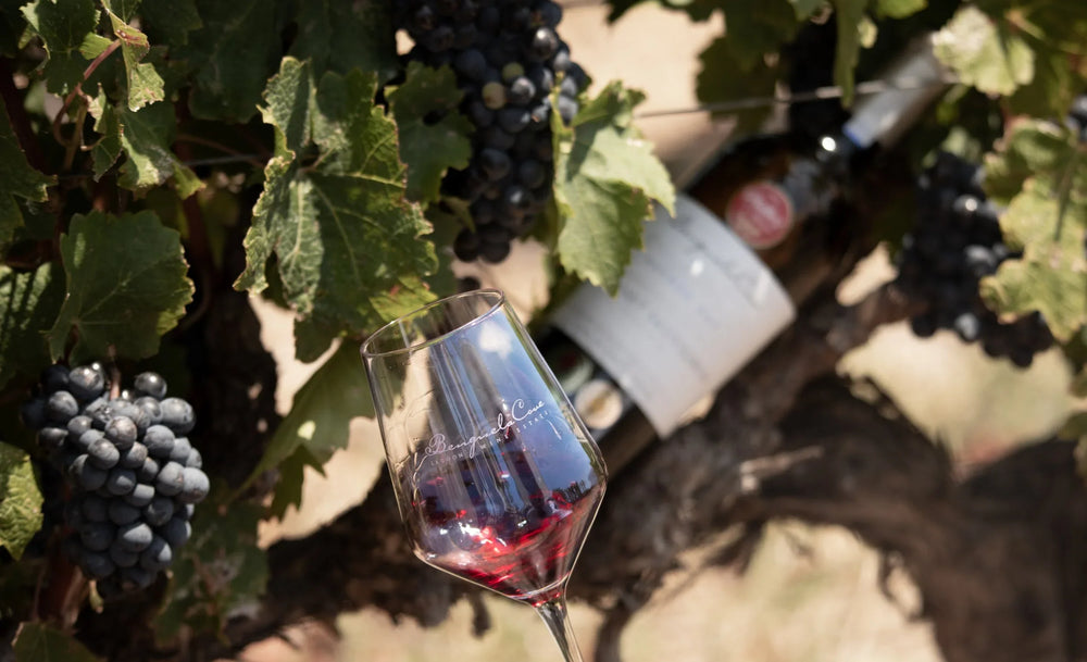 Shiraz Wine SA Wine Challenge