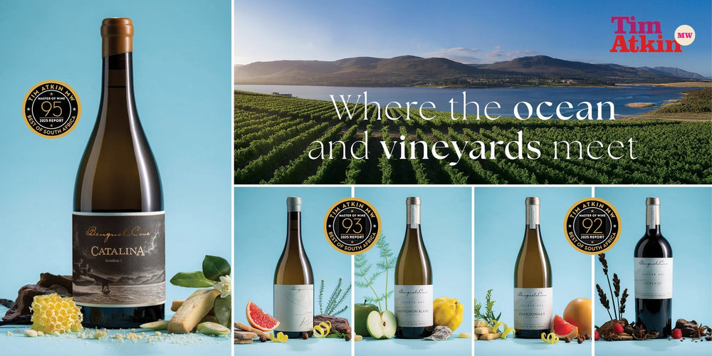 Five Stars: Our Exceptional Recognition in Tim Atkin MW's 2025 South Africa Report