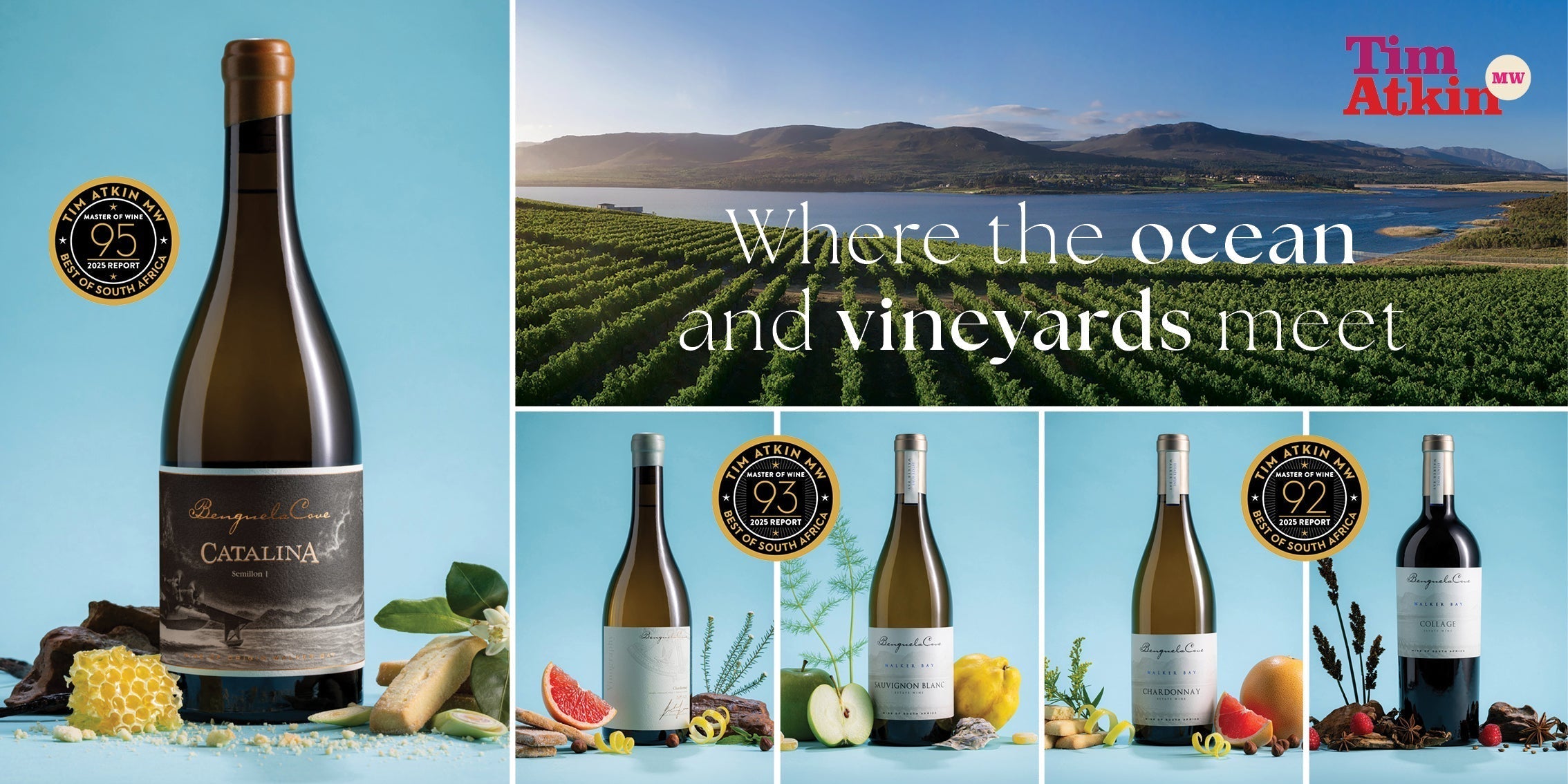 Five Stars: Our Exceptional Recognition in Tim Atkin MW's 2025 South Africa Report