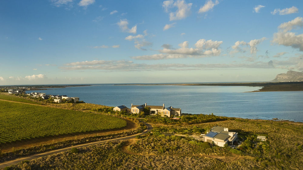 Traveller Review Award 2026 Accommodation Hermanus