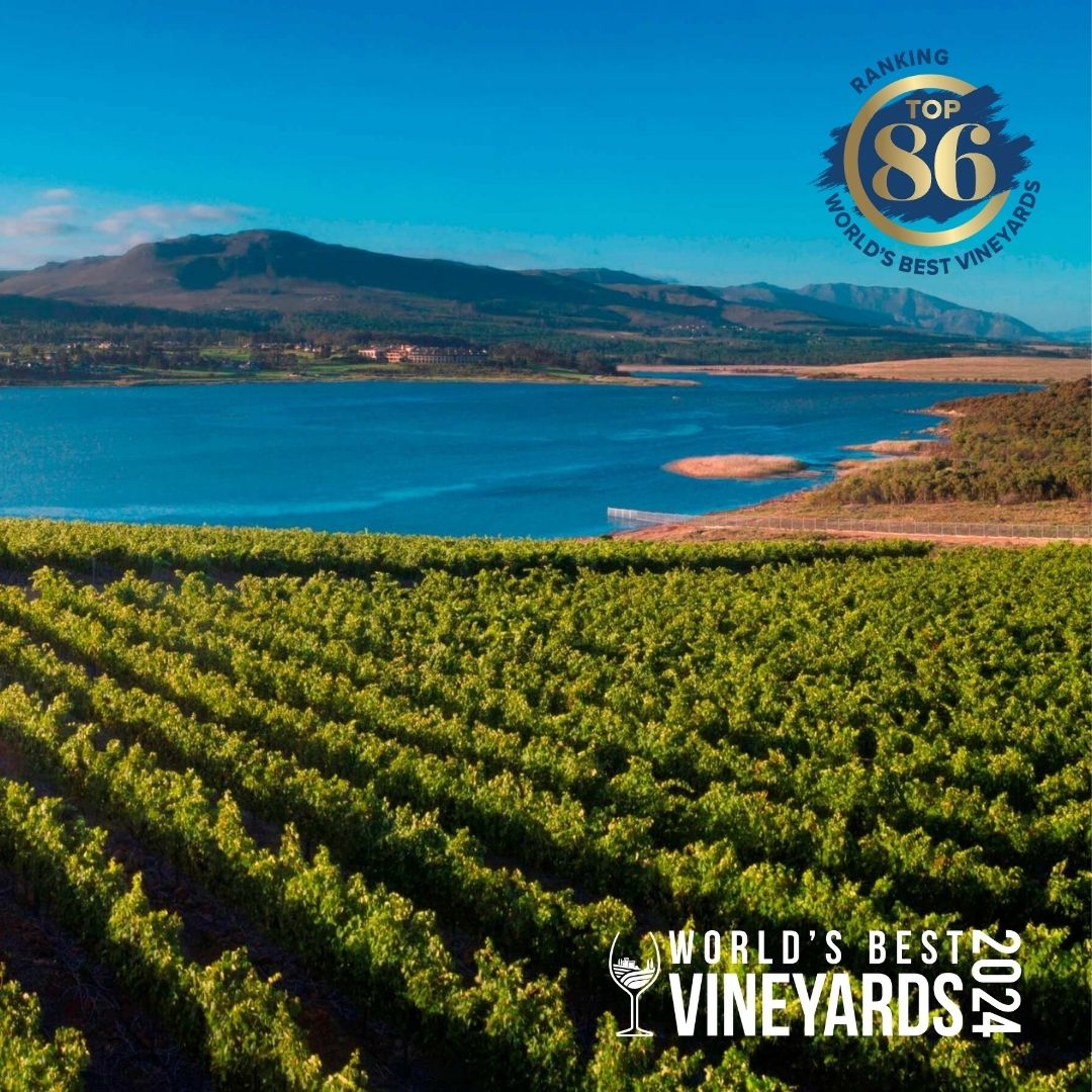 Benguela Cove vineyards and view of lagoon