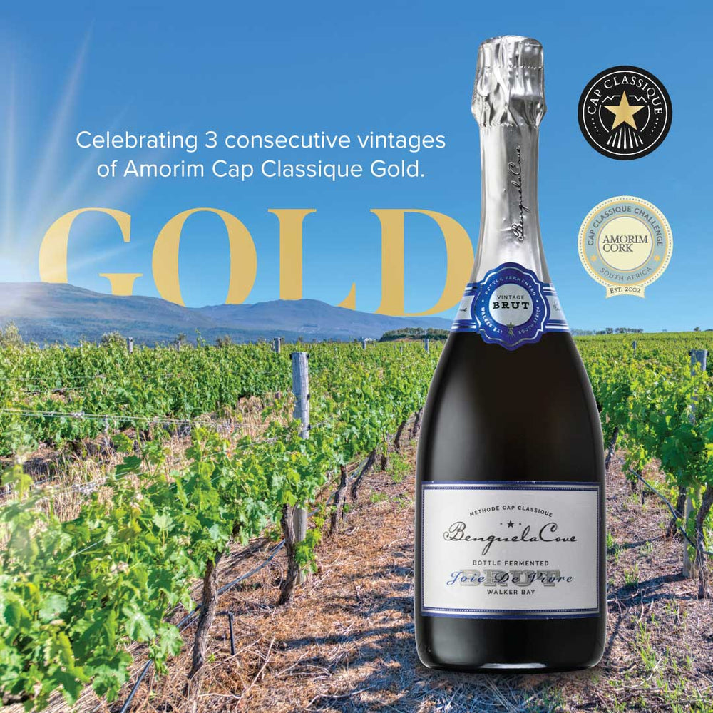benguela cove amorim cap classique gold medal