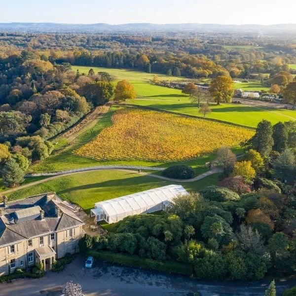 Grape Expectations November 2021