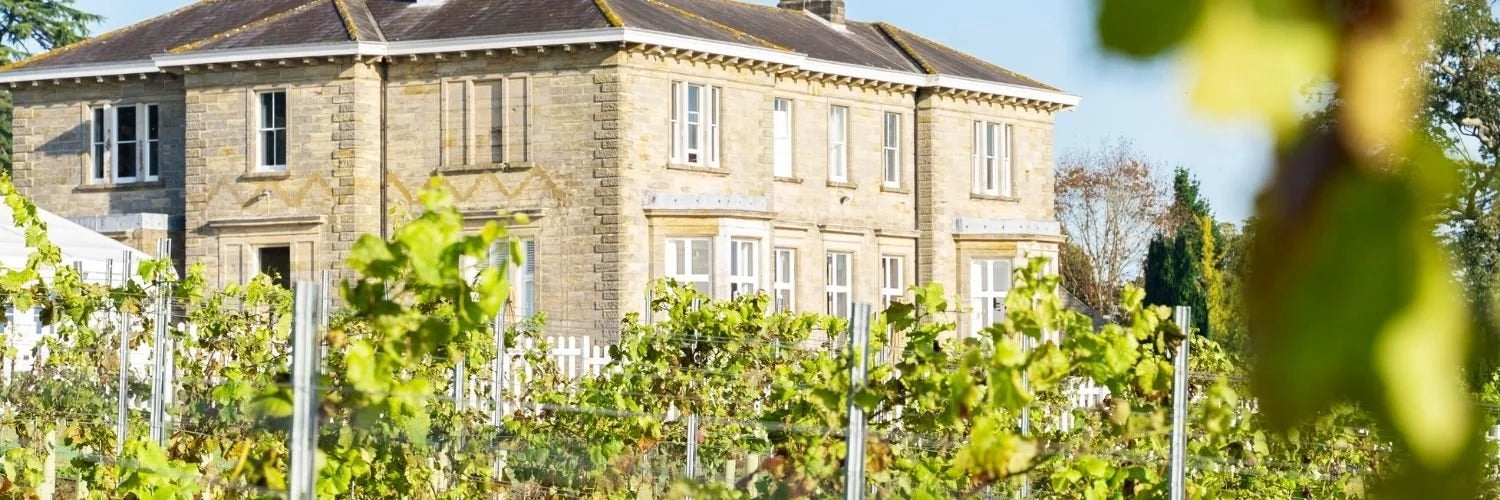 Grape Expectations February 2022