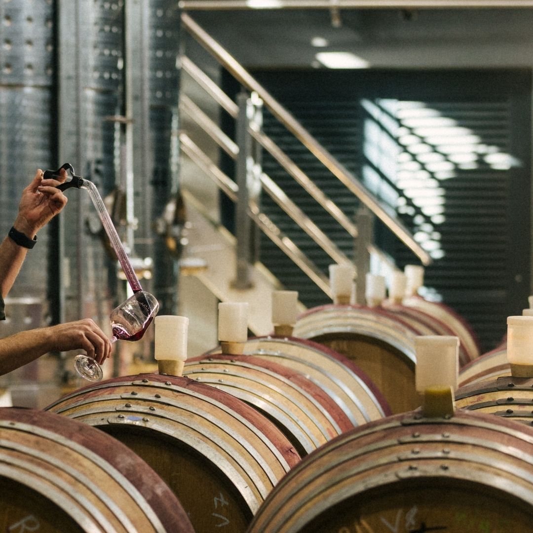 Five Stars: Our Exceptional Recognition in Tim Atkin MW's 2025 South Africa Report