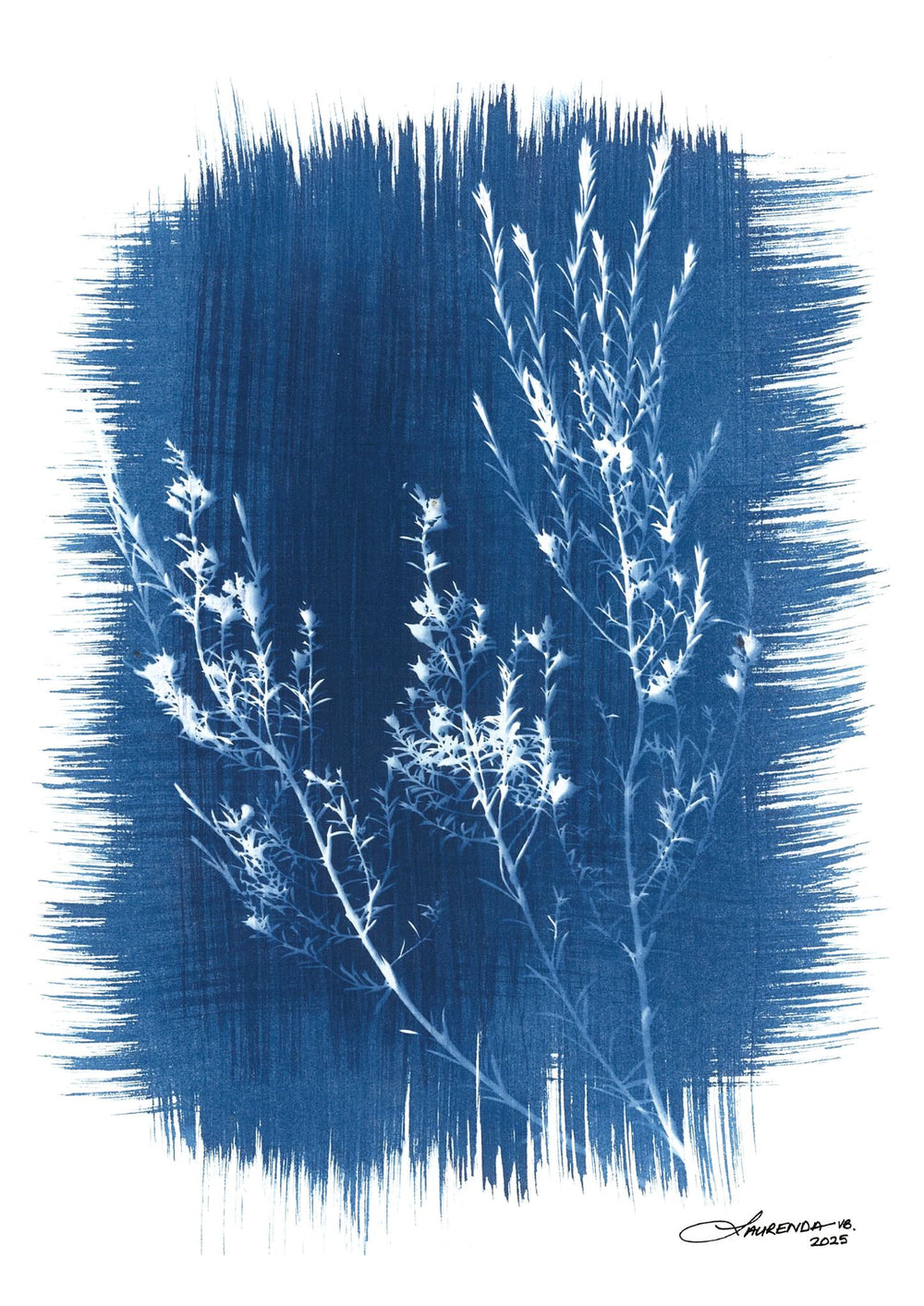 image-0