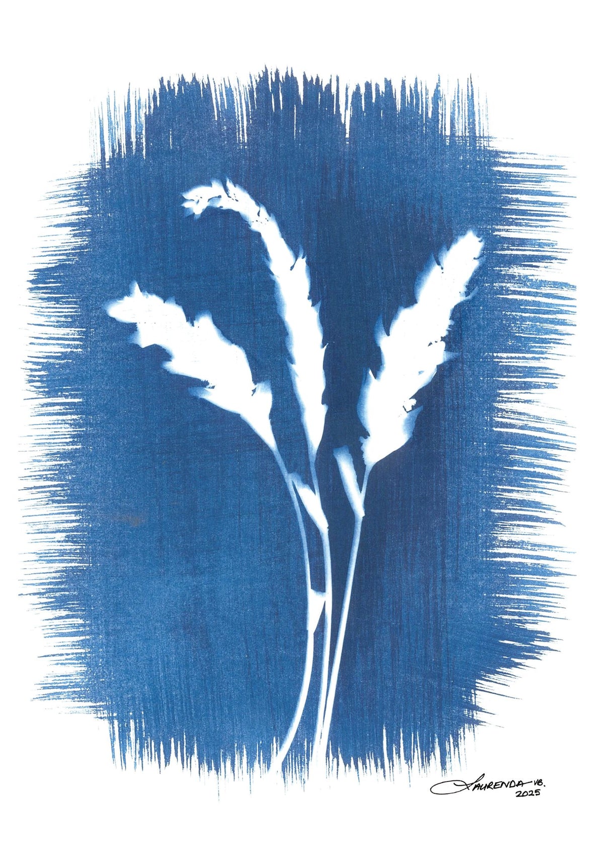 image-0