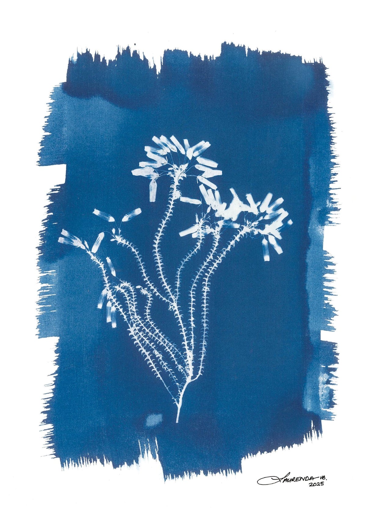 image-0