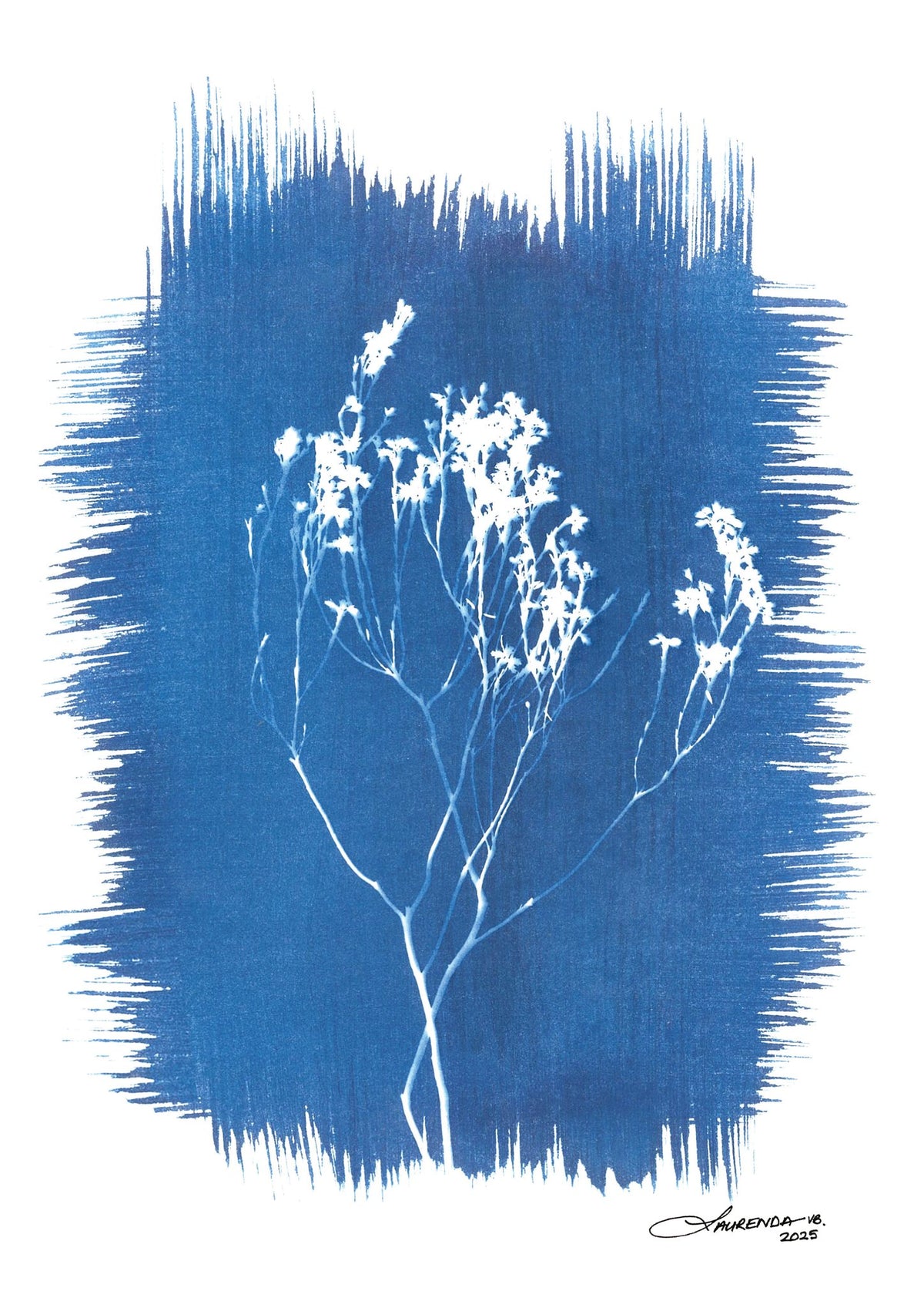 image-0