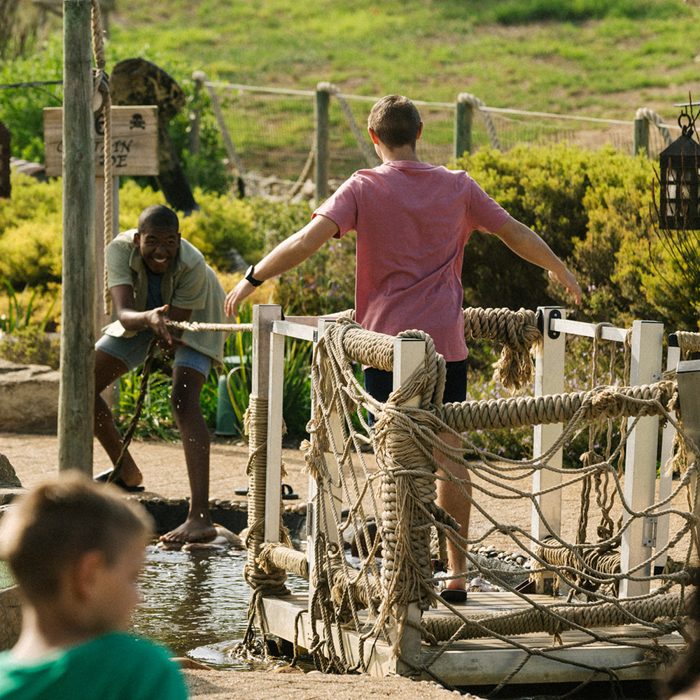 multimedia collage image