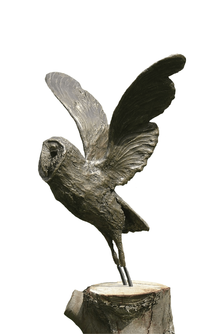 Hunting Owl