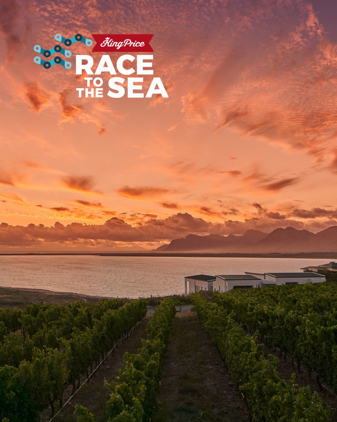King Price Race to the Sea 2026 event image
