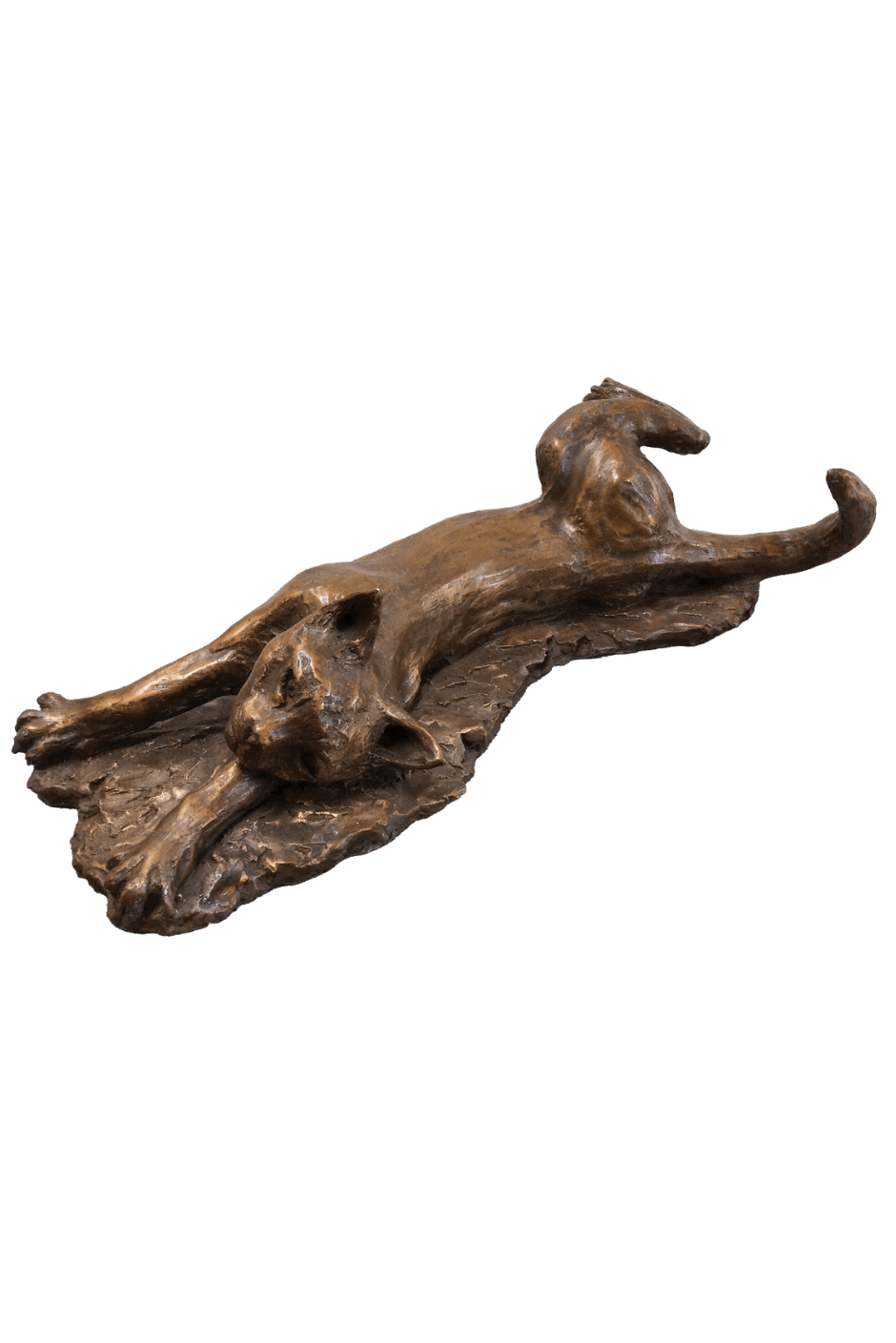 Stretching Cat