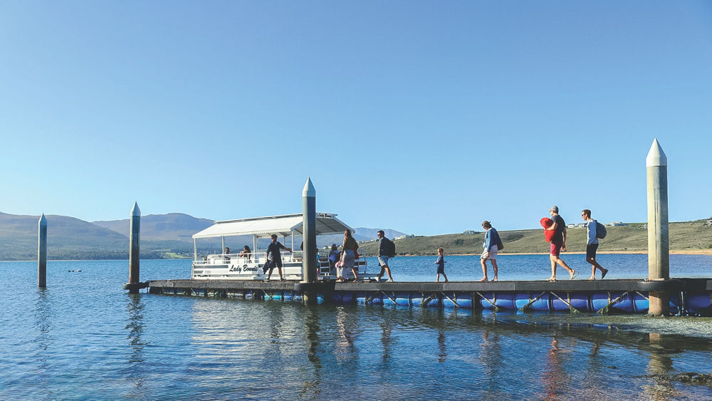 multimedia collage image