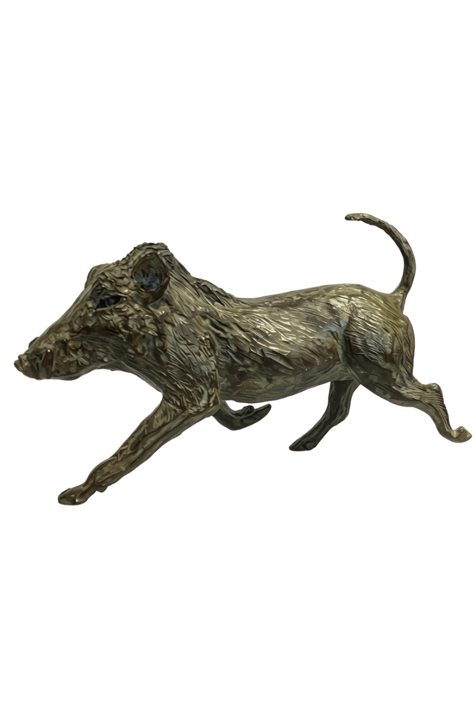 Warthog Carol Bryant