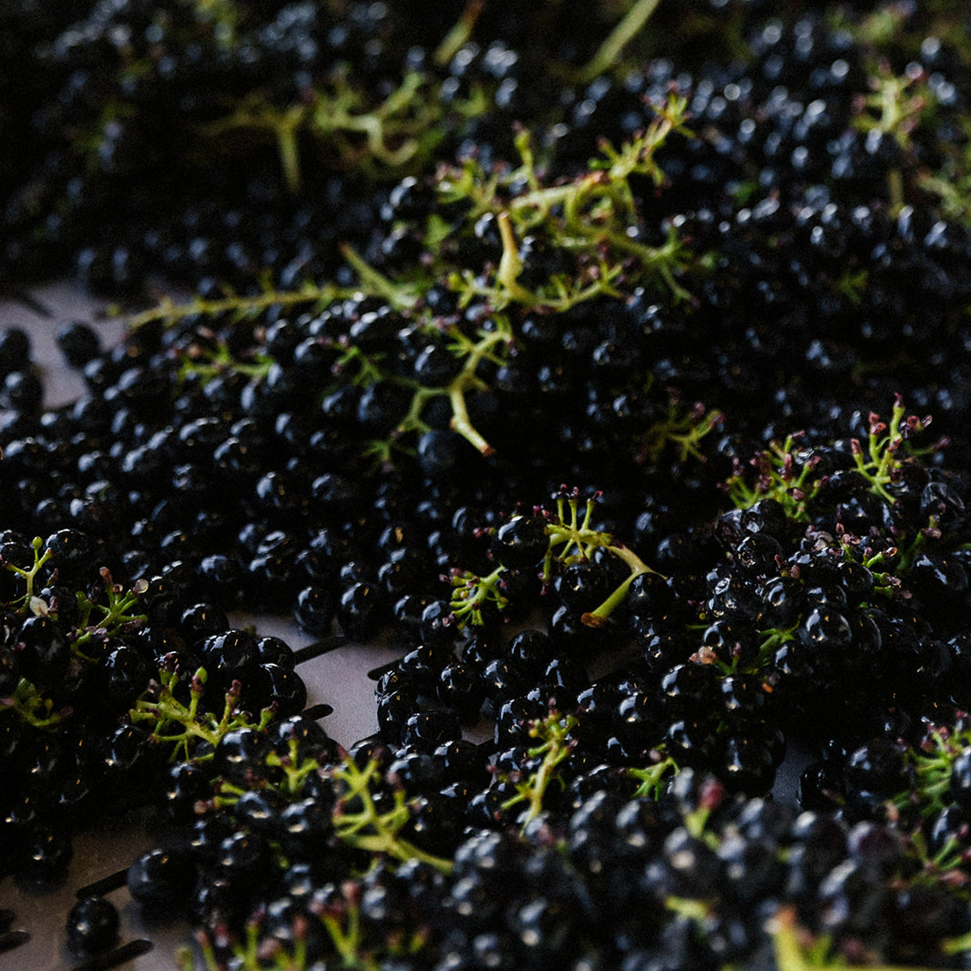 image in image with text