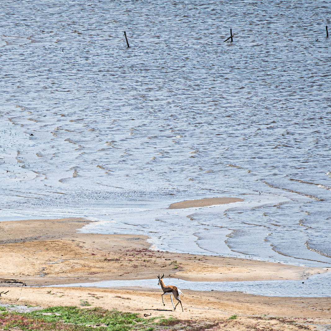 image in image with text