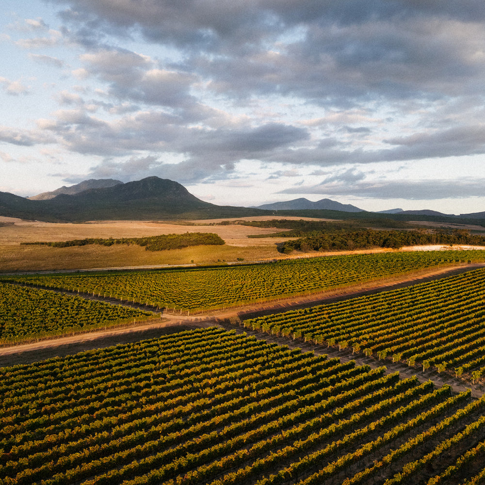 Vineyard Wonderland with lagoon views and mountain backdrops